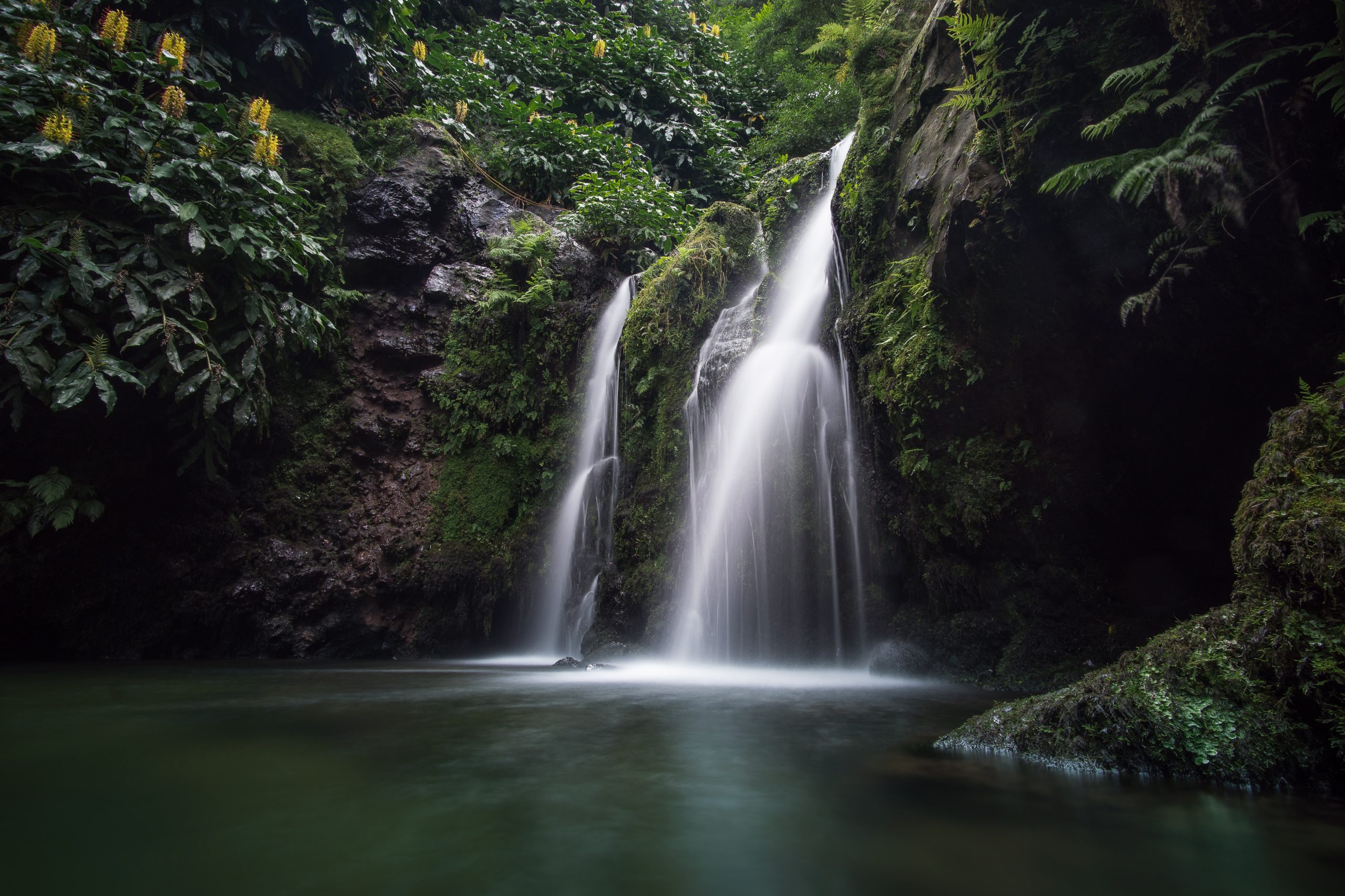 São Miguel, เกาะกรีนแห่งอะซอเรส