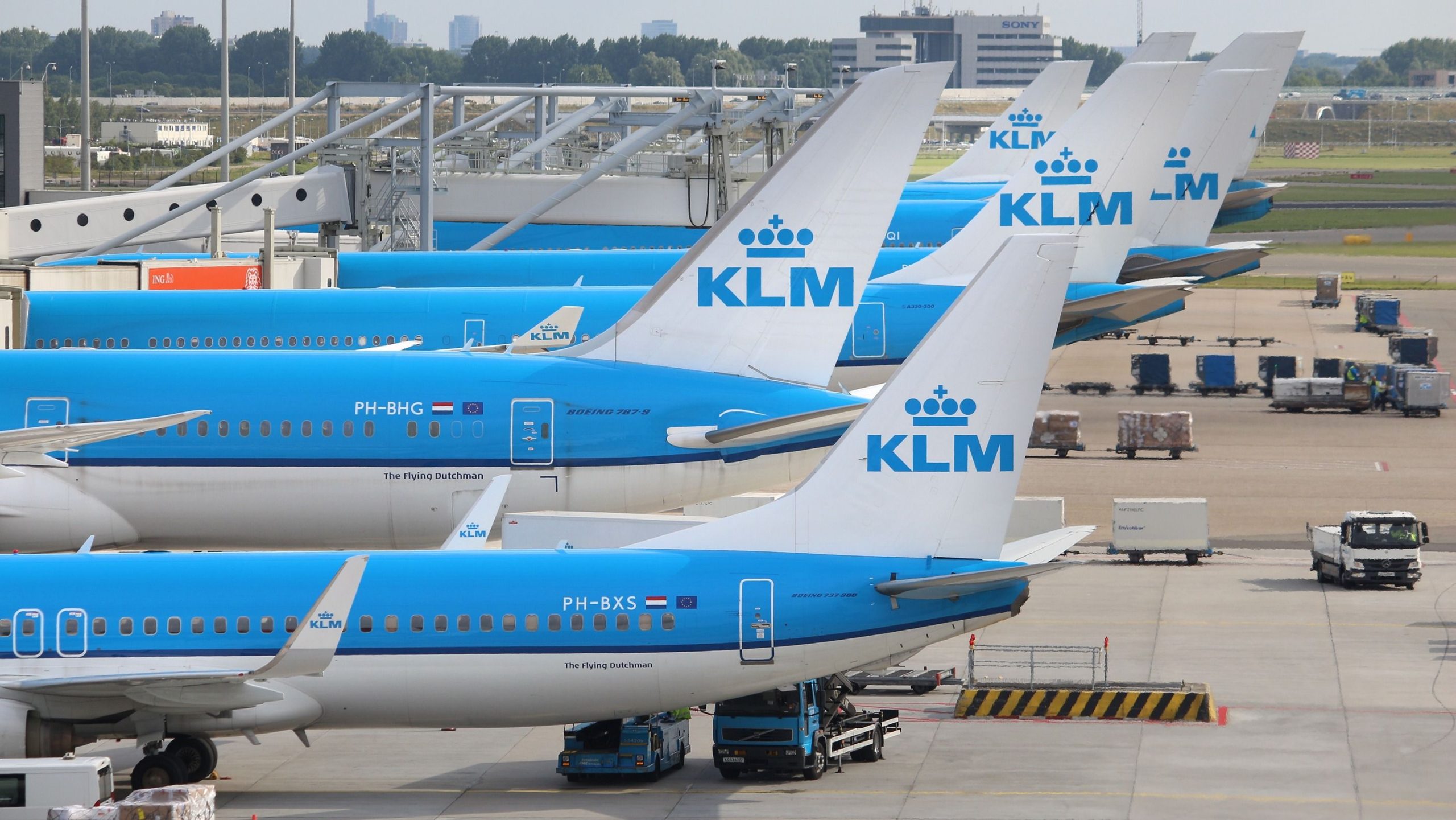 Swallowtail: KLM เปิดตัว Airbus A321neo ที่ 1