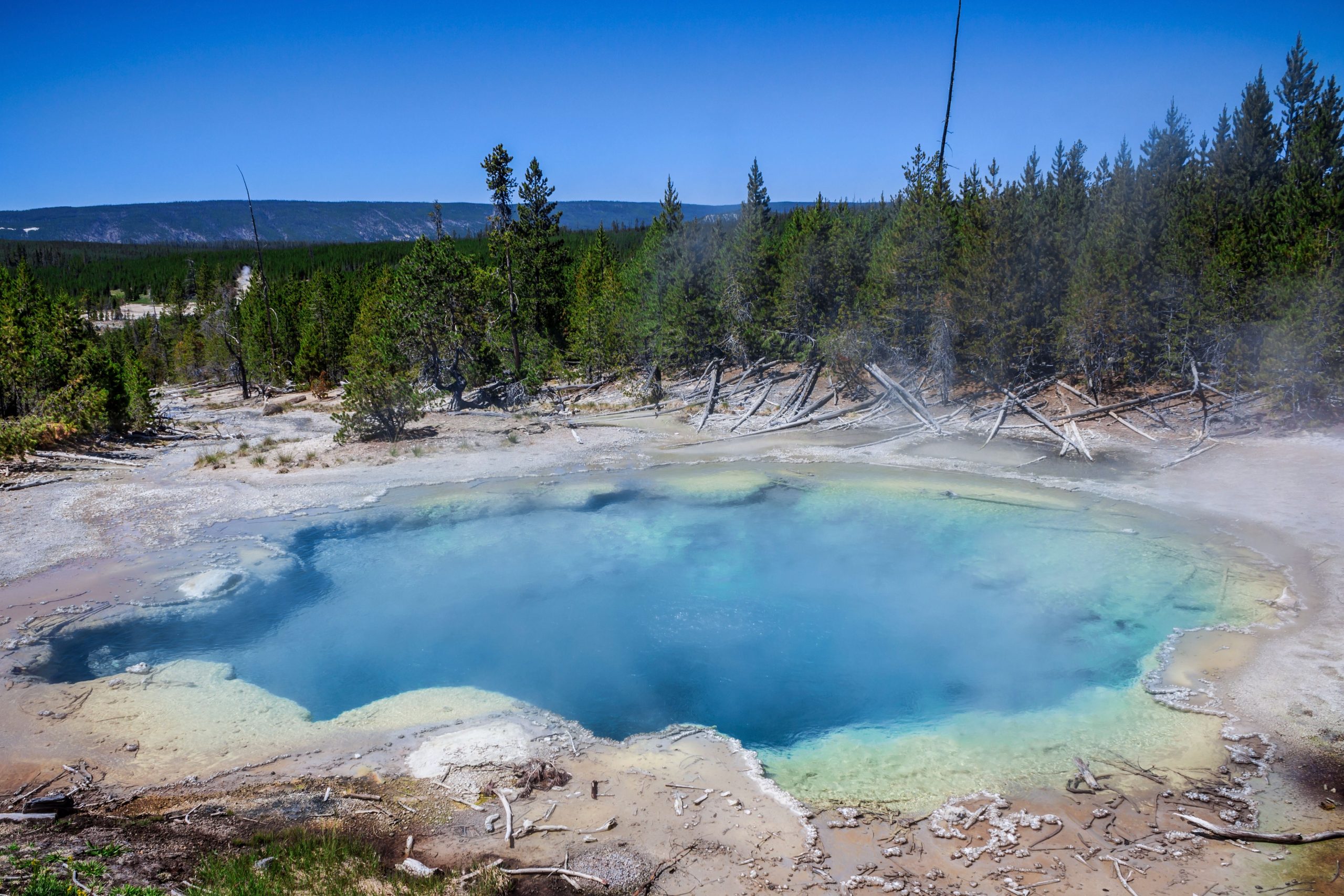 Khách truy cập mất mạng tại Công viên Quốc gia Yellowstone sau khi bỏ qua Cảnh báo mùa xuân nóng có tính axit
