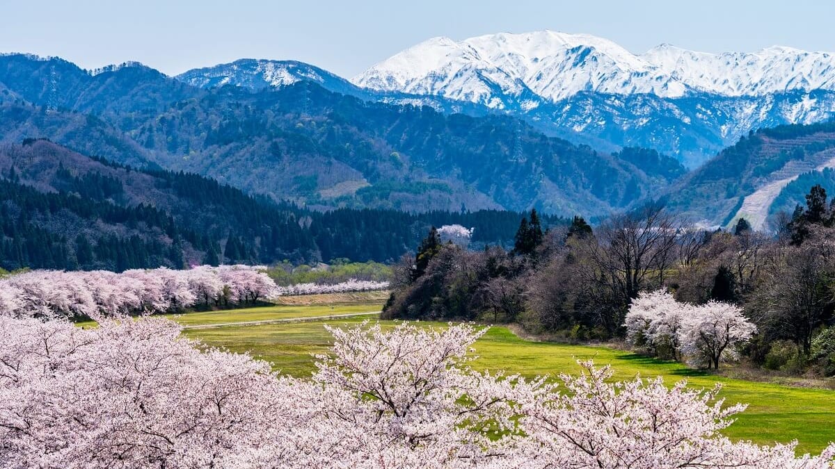 เมืองที่ธรรมชาติมีชีวิตอยู่! 5 สถานที่ท่องเที่ยวที่แนะนำในเมือง Tainai จังหวัด Niigata!