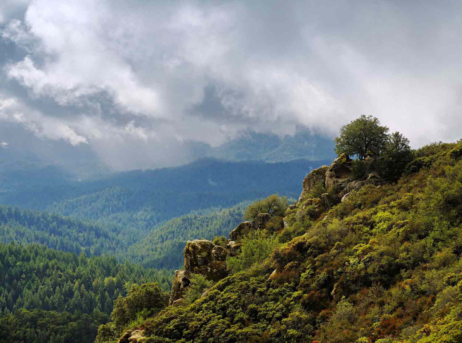 Castle Rock State Park: คู่มือฉบับสมบูรณ์