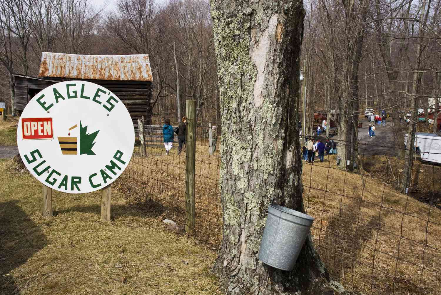 เยี่ยมชมเทศกาลเมเปิ้ลไฮแลนด์ของเวอร์จิเนีย